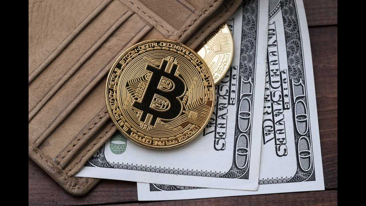 Bitcoin wallet apk download.