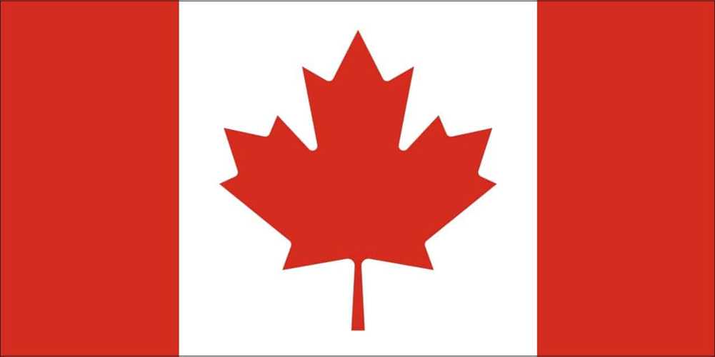 Streaming Workin' Moms Season 7 – How to Watch Online